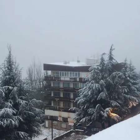 Apartman Brand New Very Cosy And Awesome Display Close To The Slope! Private Parking Sierra Nevada